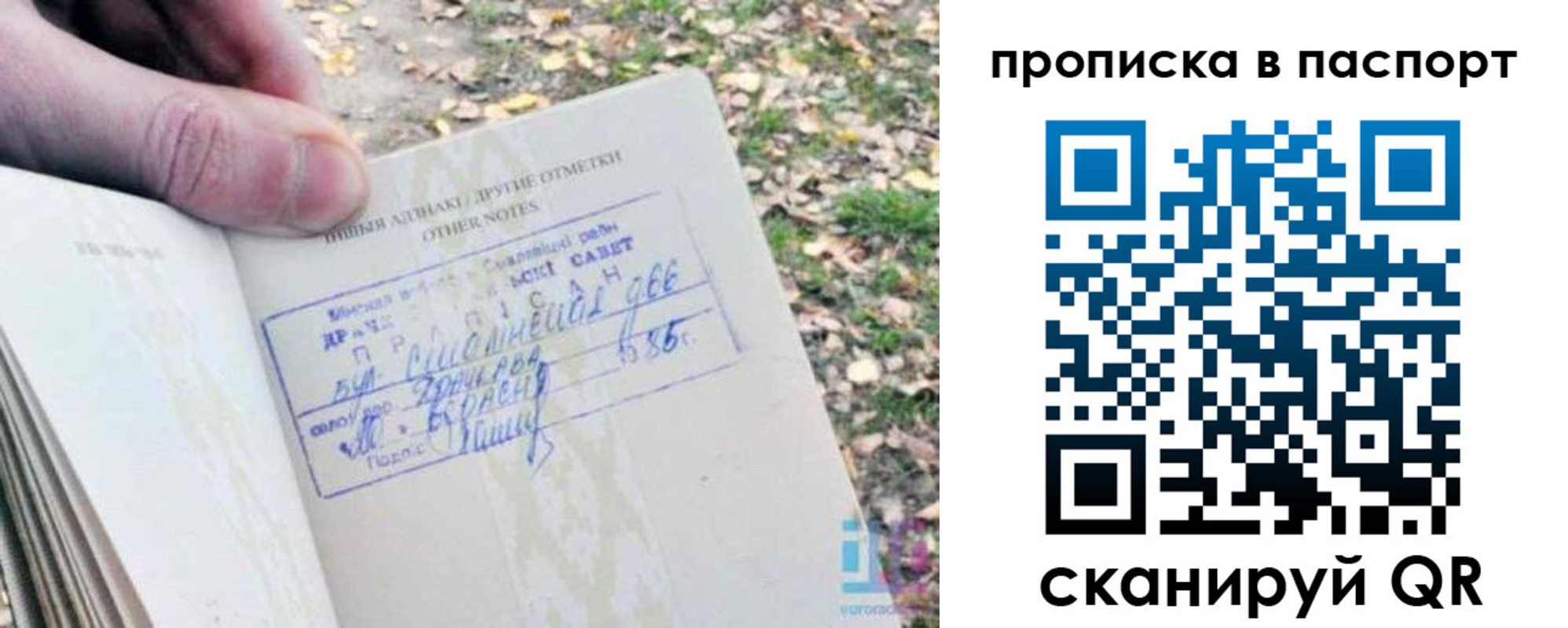 купить прописку в Бородино